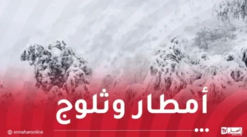 ثلوج وأمطار غزيرة.. خارطة تقلبات الطقس في المحافظات خلال الساعات المقبلة